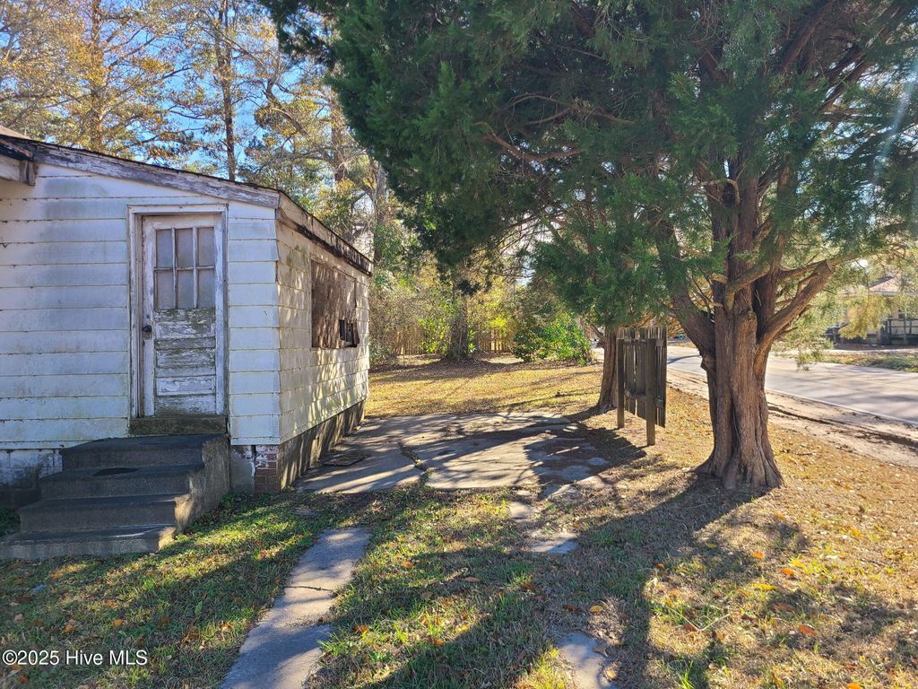 Photo of 313 W Williams Street, Burgaw, NC 28425 (MLS # 100546982)