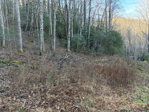 Vacant Land For Sale - 00 Choga Trail<br/> Topton, NC 28781