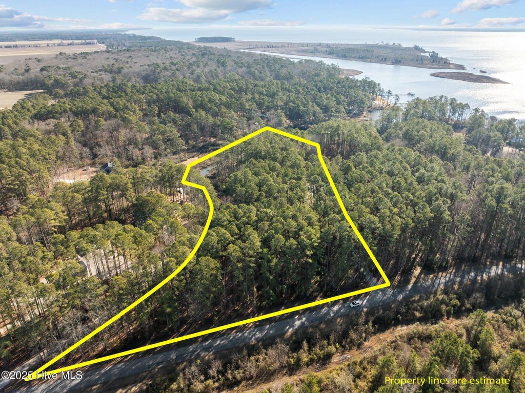 Photo of 33 Mixon Creek Drive, Bath, NC 27808 (MLS # 100455590)