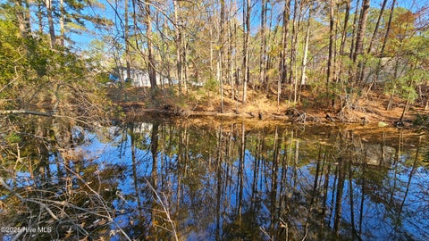 Vacant Land For Sale - 184 Shady Lane<br/> Hertford, NC 27944