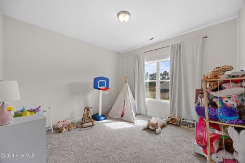 Tiny photo for 424 Northern Pintail Place, Hampstead, NC 28443 (MLS # 100606694)