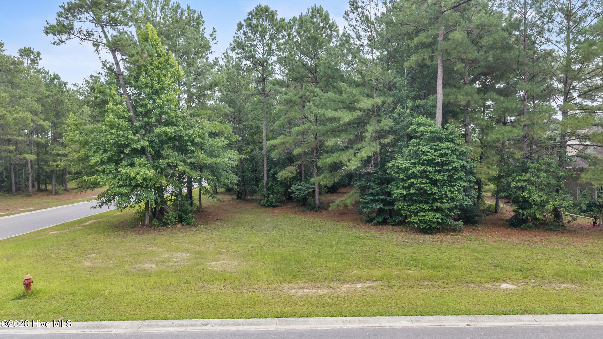 154 8 Muscadine Trail