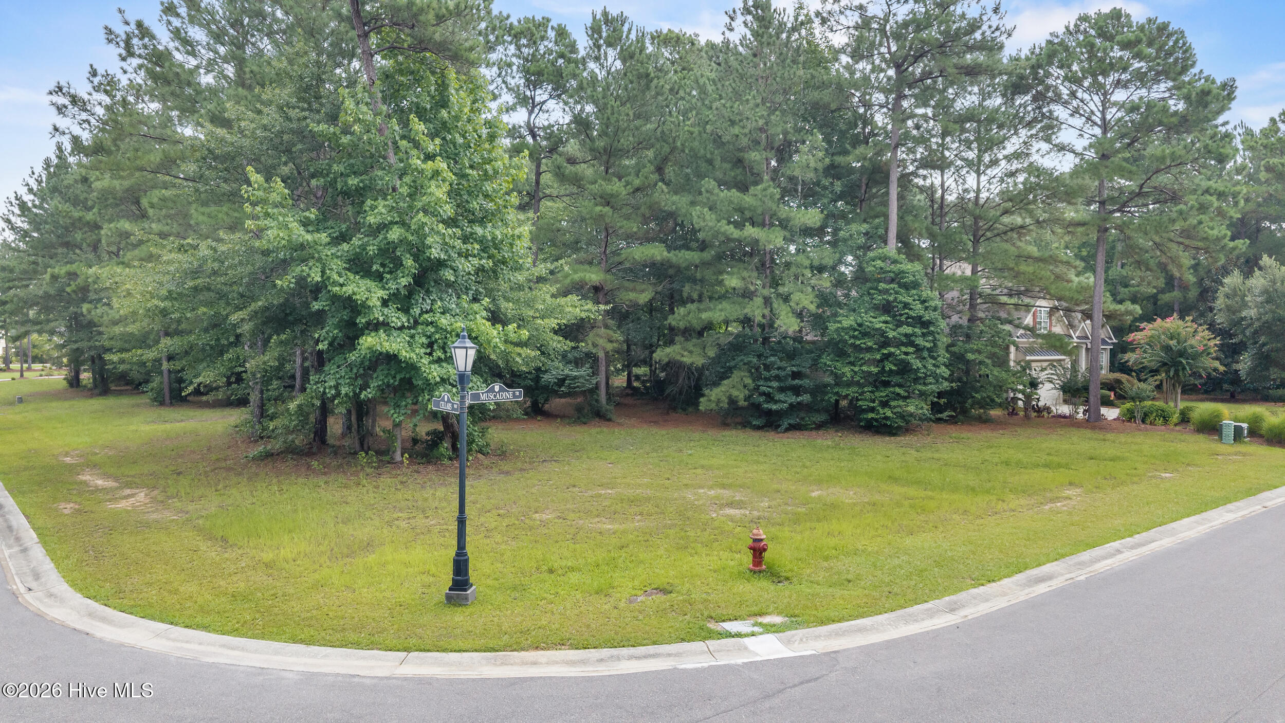 154 Muscadine Trail, Wallace, NC, 28466