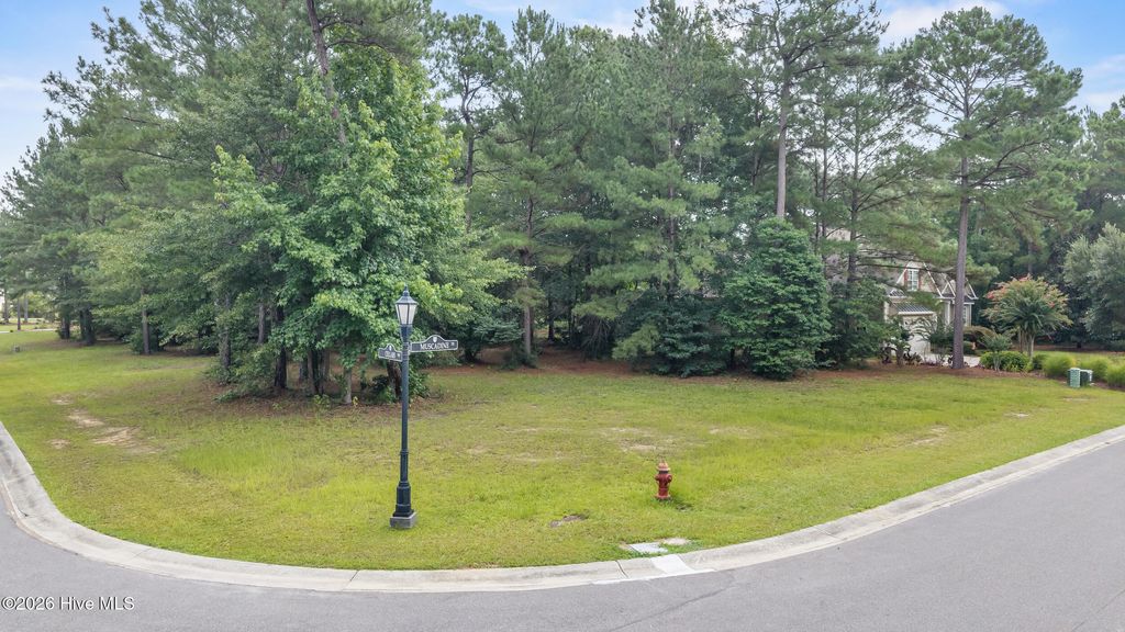 Photo of 154 Muscadine Trail, Wallace, NC 28466 (MLS # 100590935)
