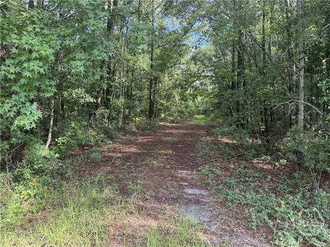 Vacant Land For Sale - 68 Johnson Road<br/> Richmond Hill, GA 31324