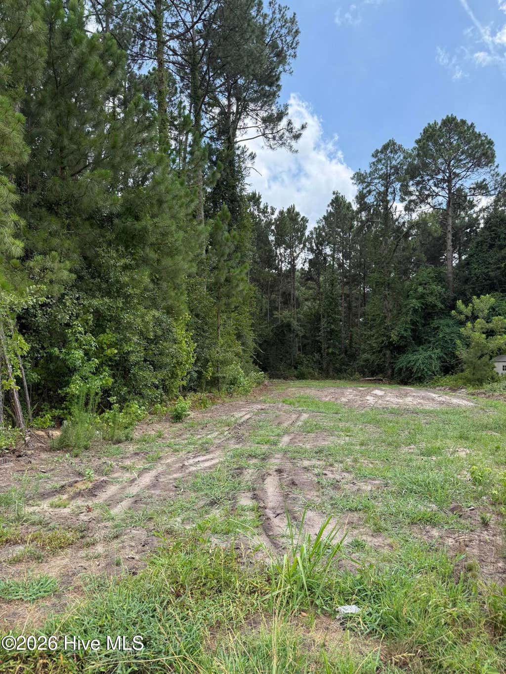 Photo of 0 Grays Lane, Elizabethtown, NC 28337 (MLS # 100588966)