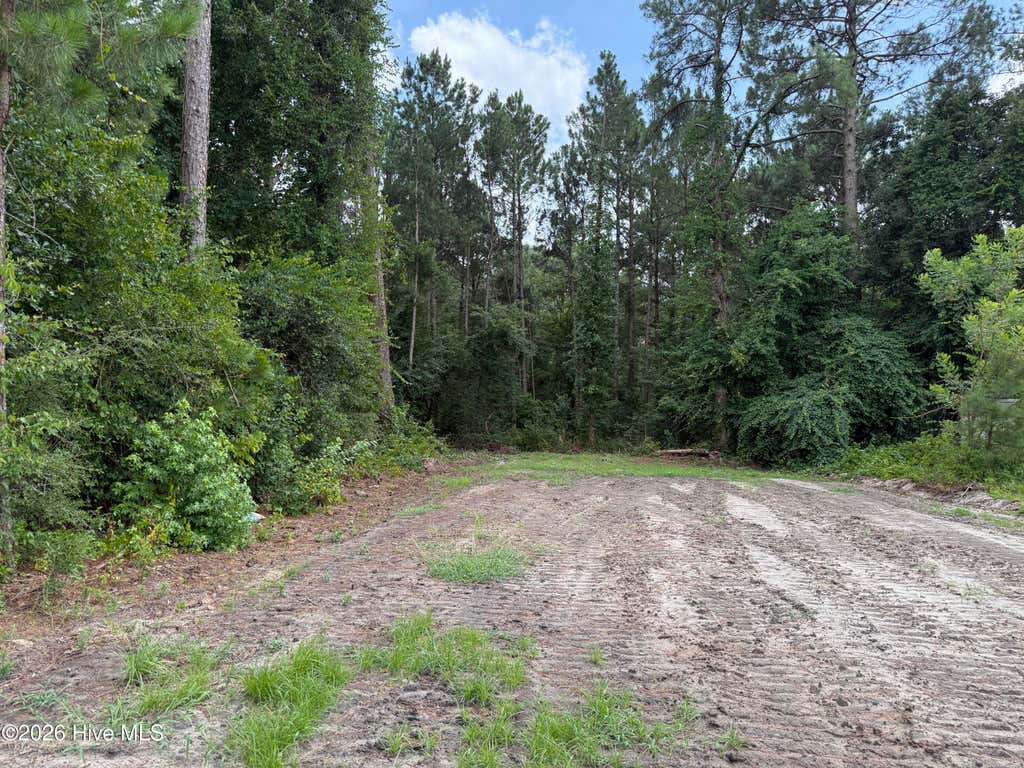 Photo of 0 Grays Lane, Elizabethtown, NC 28337 (MLS # 100588966)