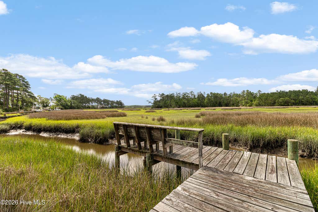 Photo of 303 Orchard Circle, Newport, NC 28570 (MLS # 100581697)