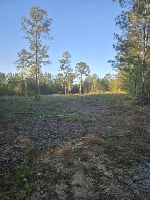 Vacant Land For Sale - Sweetgum Lane<br/> Lincolnton, GA 30817