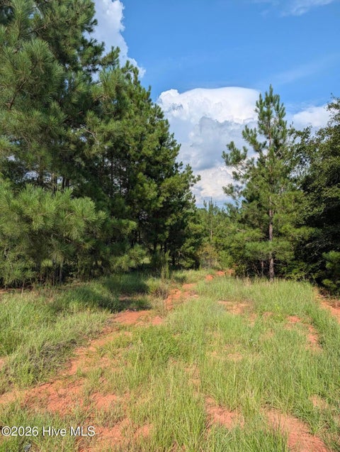 Vacant Land For Sale - Nelson Lane<br/> Louisville, GA 30434