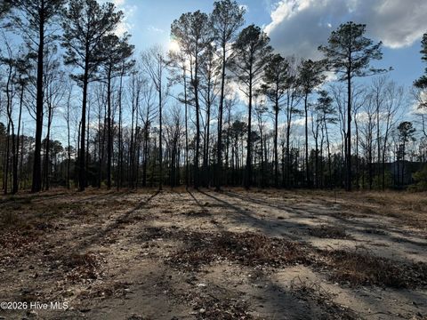 Vacant Land For Sale - 59 Paint Lane<br/> Hertford, NC 27944