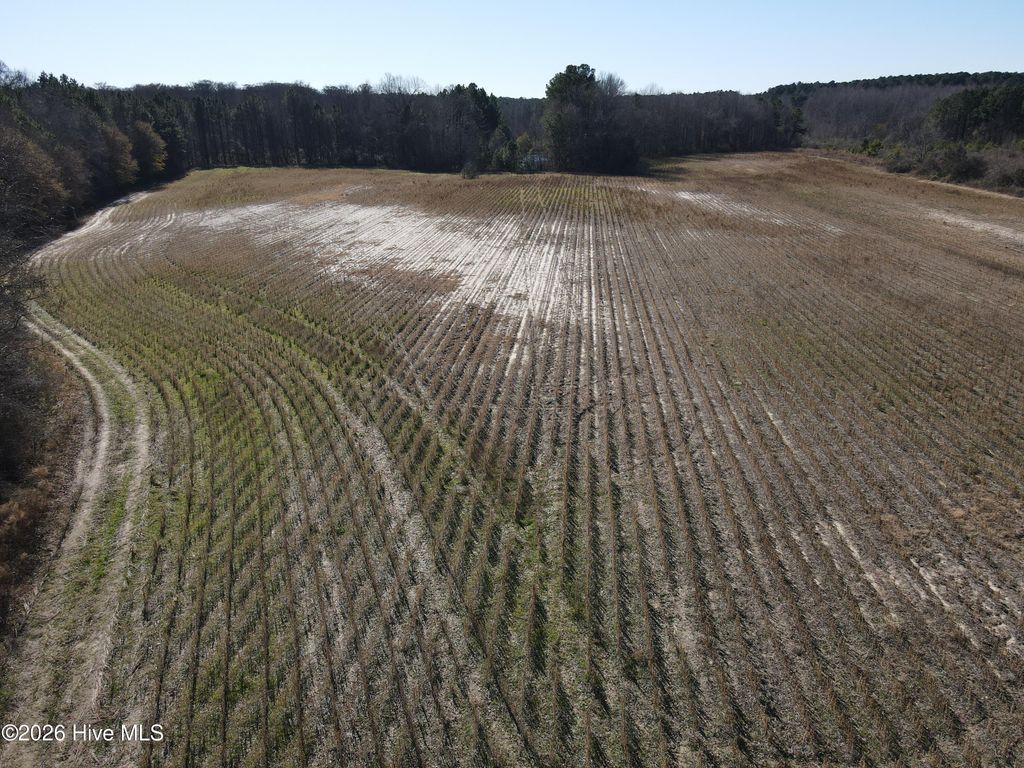 Photo of 1715 E Old Spring Hope Road, Nashville, NC 27856 (MLS # 100571258)
