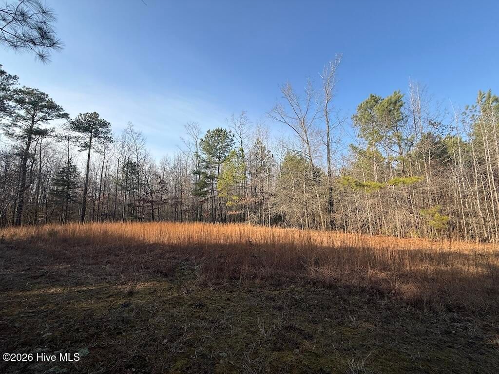 Photo of 0 Nc-308, Rich Square, NC 27869 (MLS # 100552434)
