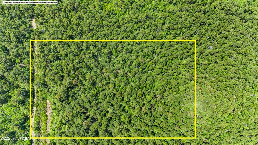 Photo of 297 Plantation Road, Wilmington, NC 28411 (MLS # 100508739)