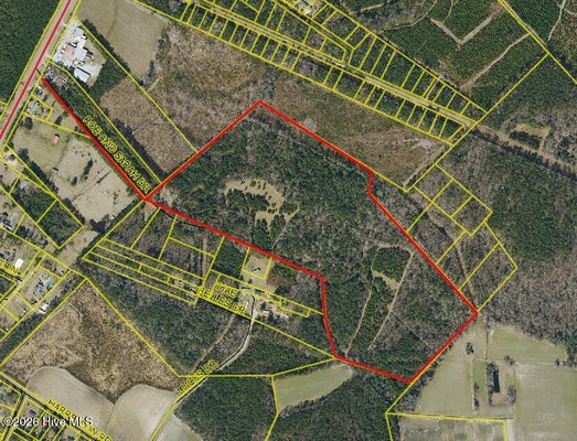 359 ROE AND SARAH DR, CLARKTON, NC 28433 - Image 8866d95fa87dc2a266cf342a6f75caaa/2304736745