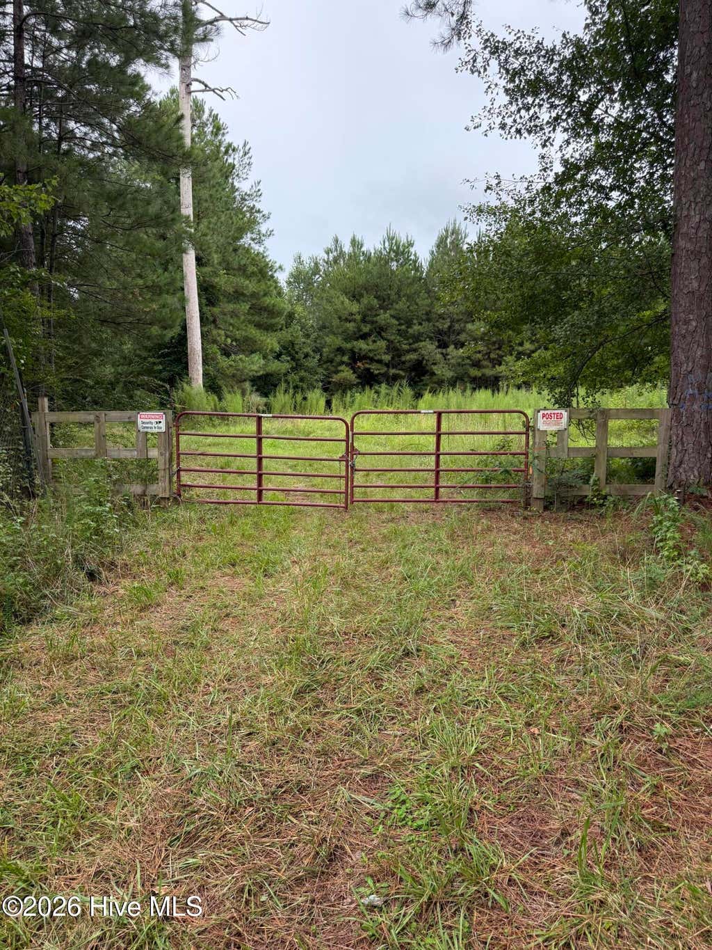 Photo of 359 Roe And Sarah Drive, Clarkton, NC 28433 (MLS # 100593636)