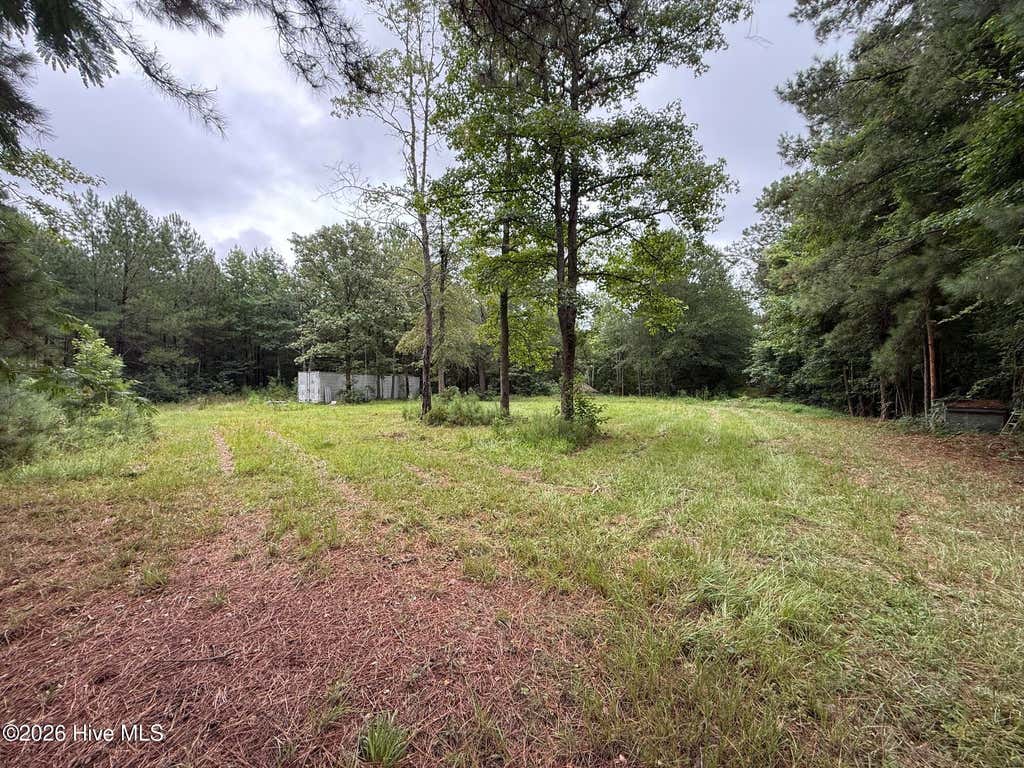 Photo of 359 Roe And Sarah Drive, Clarkton, NC 28433 (MLS # 100593636)