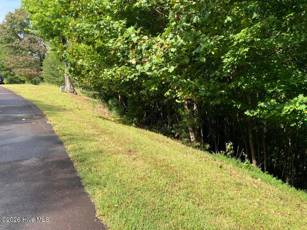 Photo of 9 Yellow Maple Drive, Murphy, NC 28906 (MLS # 100605720)