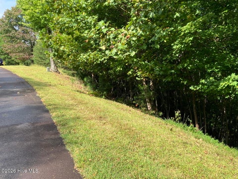 Vacant Land For Sale - 9 Yellow Maple Drive<br/> Murphy, NC 28906