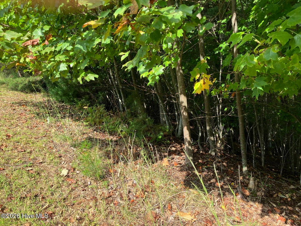 Photo of 9 Yellow Maple Drive, Murphy, NC 28906 (MLS # 100605720)