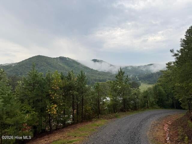 8,9 Downings Creek Road, Hayesville, NC, 28904
