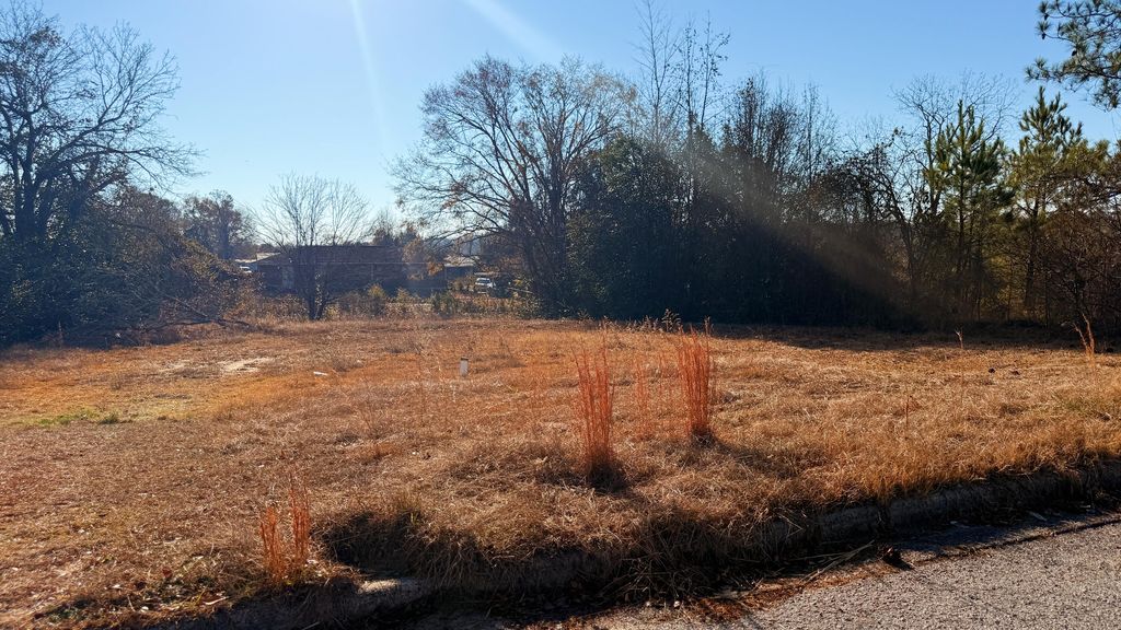 Photo of 3616 Larkspur Drive, Augusta, GA 30906 (MLS # 550432)