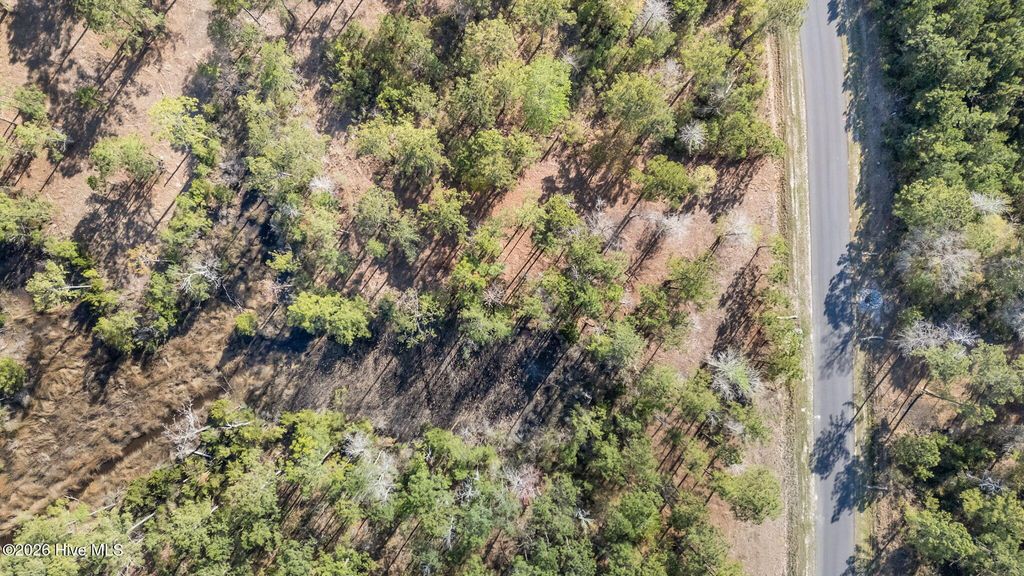 Photo of 128 Shell Castle Lane, Vandemere, NC 28587 (MLS # 100567391)