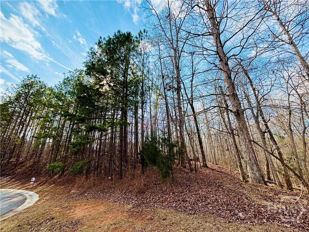 Photo of 1241 Pembrook Drive, Watkinsville, GA 30677 (MLS # CL347992)