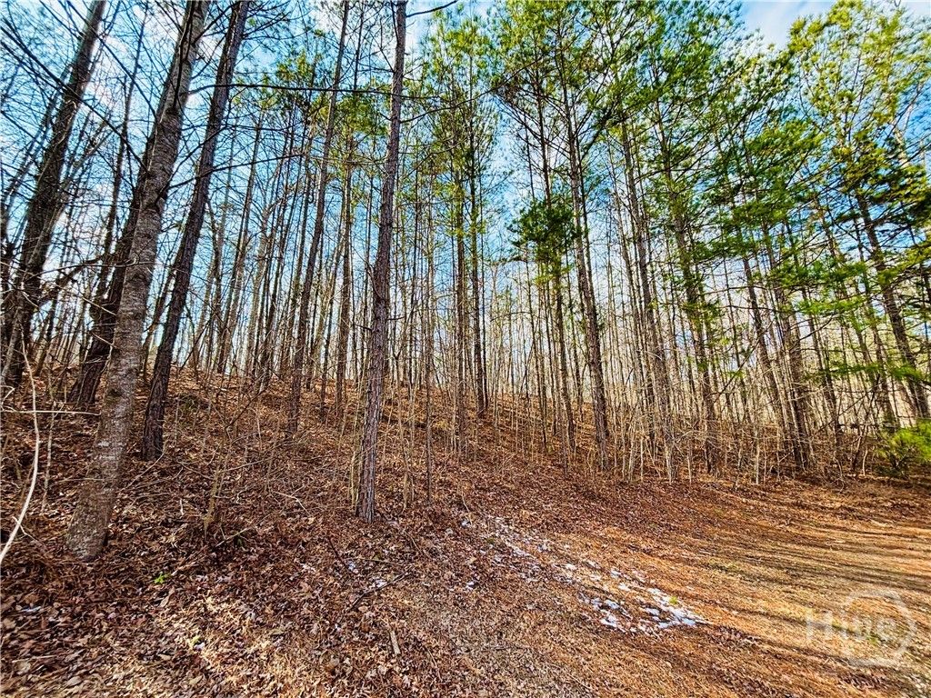 Photo of 1241 Pembrook Drive, Watkinsville, GA 30677 (MLS # CL347992)