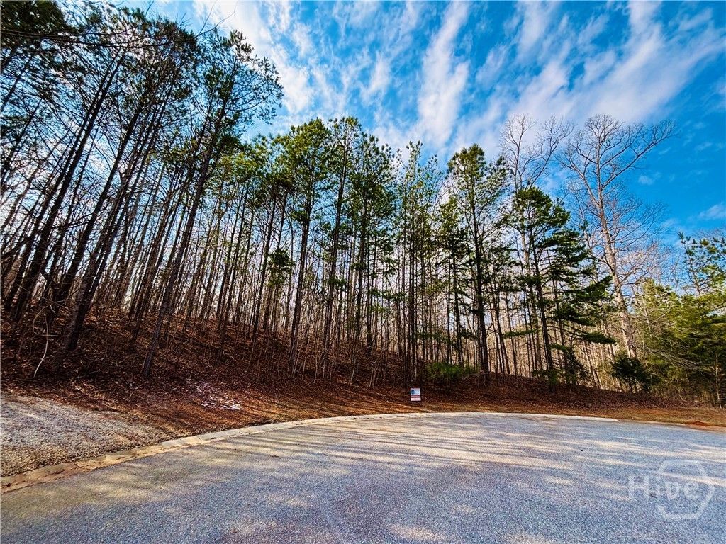 Photo of 1241 Pembrook Drive, Watkinsville, GA 30677 (MLS # CL347992)