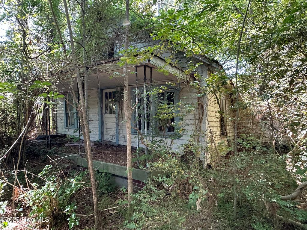 Photo of 2717 Old Us Highway 64, Jamesville, NC 27846 (MLS # 100568820)