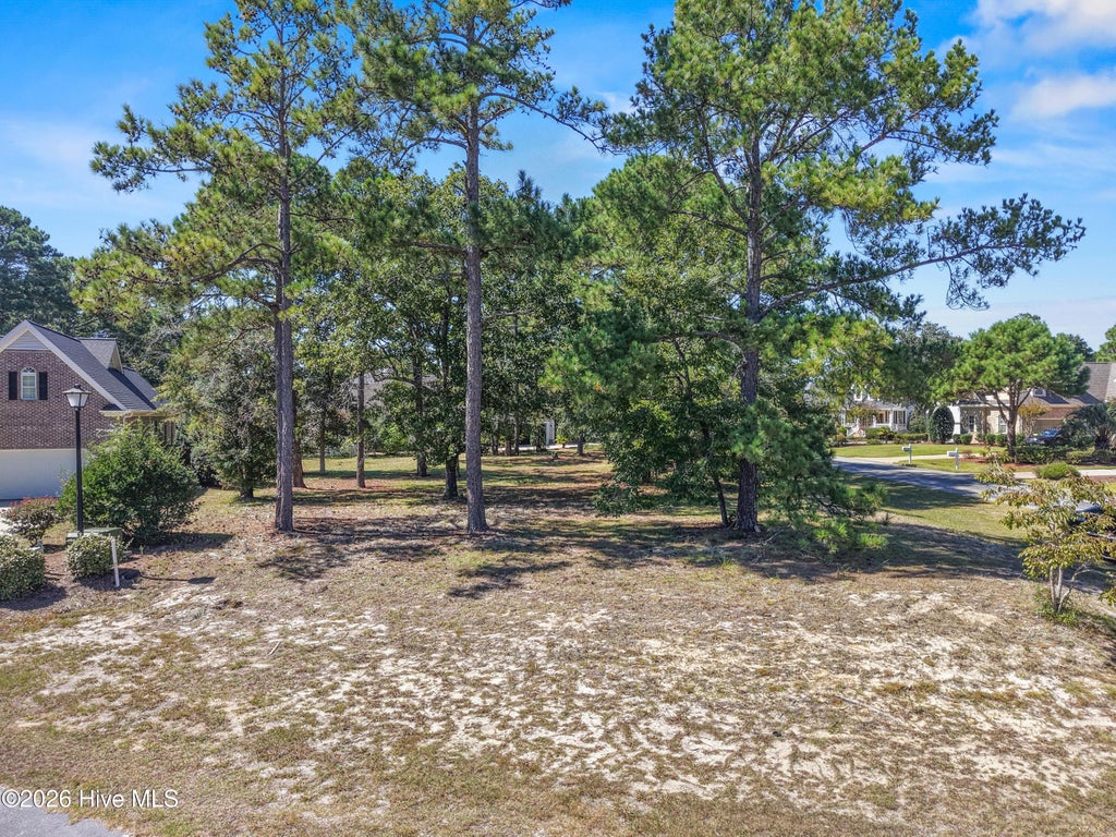 Photo of 4363 Stillwater Cove SE, Southport, NC 28461 (MLS # 100608549)