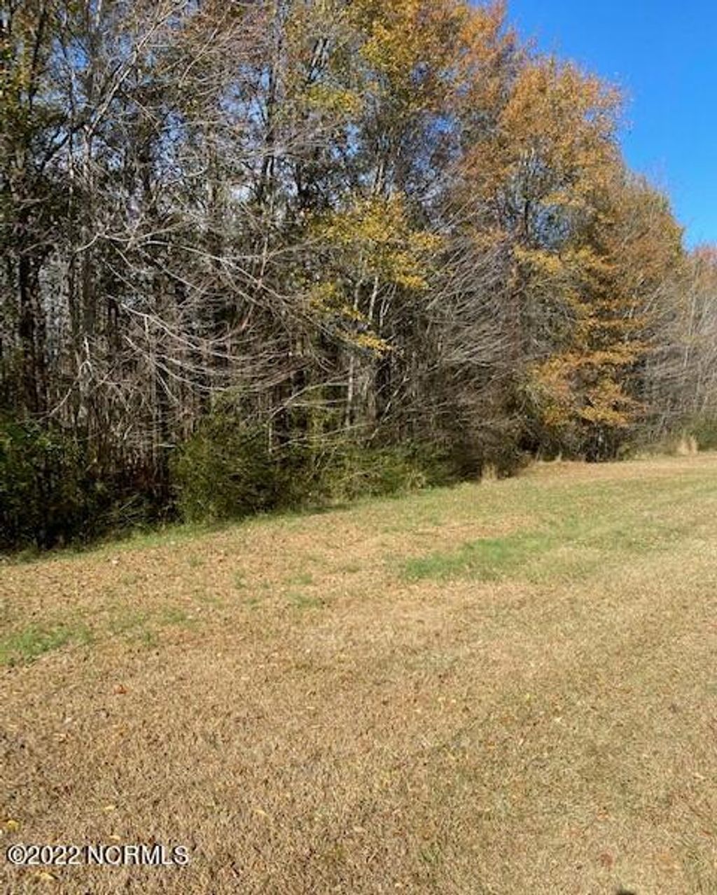 Photo of 1024 Coburn Lane, Robersonville, NC 27871 (MLS # 100550241)