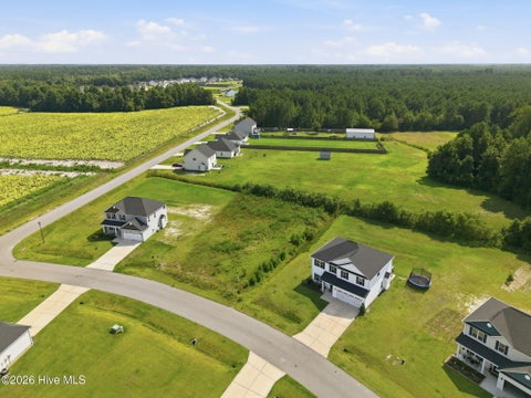 Tiny photo for 305 Lonesome Dove Court, Maysville, NC 28555 (MLS # 100597604)