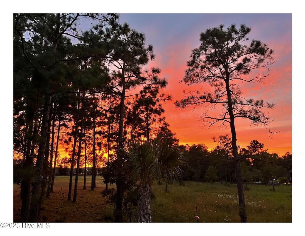 Photo of 2408 Red Birch Trail NE, Leland, NC 28451 (MLS # 100509203)