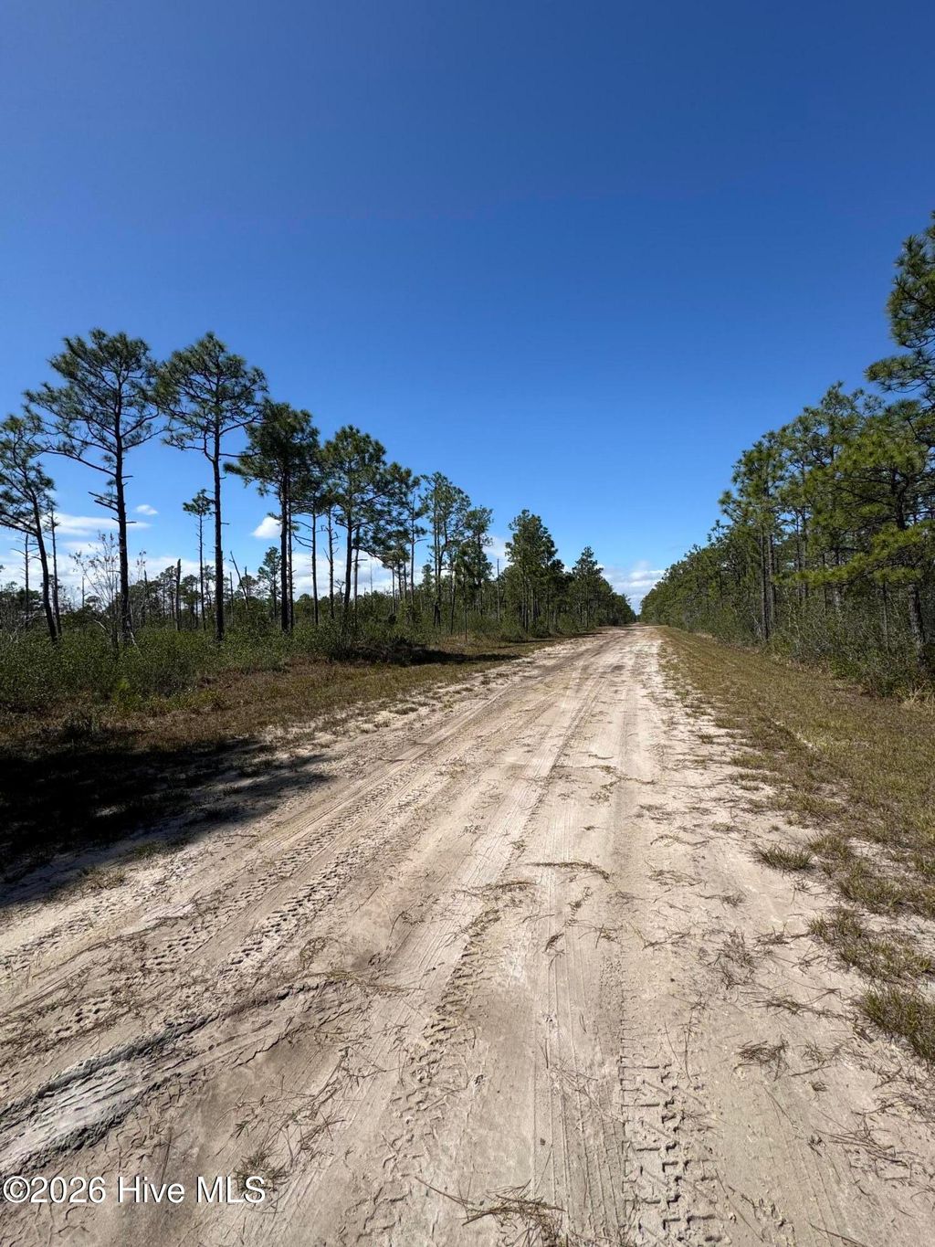 Photo of 489 Craven Street, Boiling Spring Lakes, NC 28461 (MLS # 100555530)