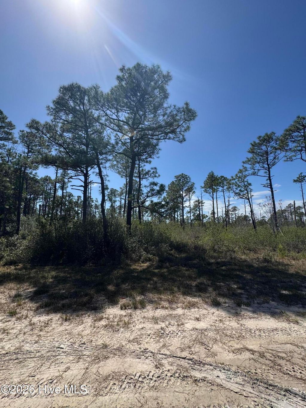 Photo of 489 Craven Street, Boiling Spring Lakes, NC 28461 (MLS # 100555530)