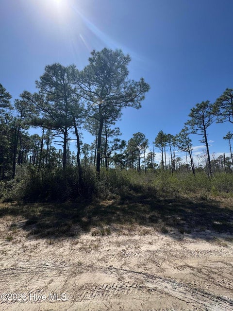 Vacant Land For Sale - LOT 489 Craven Street<br/> Boiling Spring Lakes, NC 28461