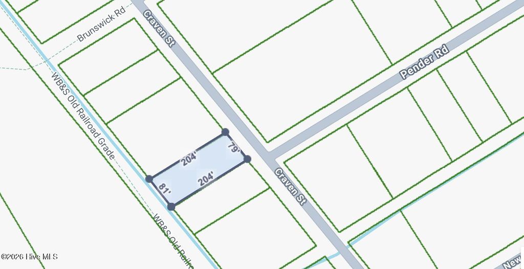 Photo of 489 Craven Street, Boiling Spring Lakes, NC 28461 (MLS # 100555530)