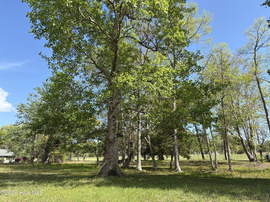 Photo of 1781 Sandalwood Drive SW, Ocean Isle Beach, NC 28469 (MLS # 100566635)