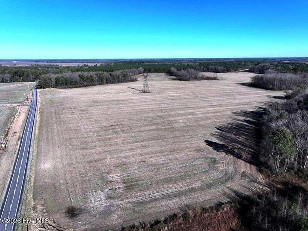 Photo of Tbd S Old Wire Road, Red Springs, NC 28377 (MLS # 100550774)