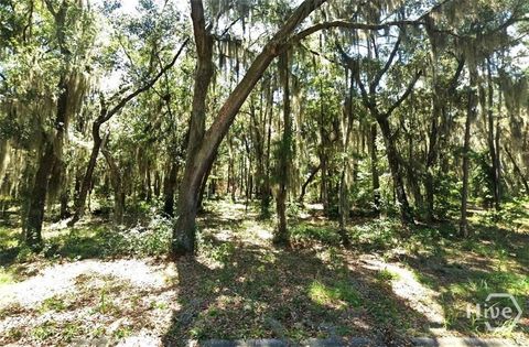 Vacant Land For Sale - LOT 17 Spartina Way<br/> Midway, GA 31320