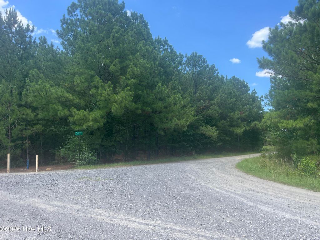 Photo of Tbd Curly Lane, Bennettsville, SC 29512 (MLS # 100583360)