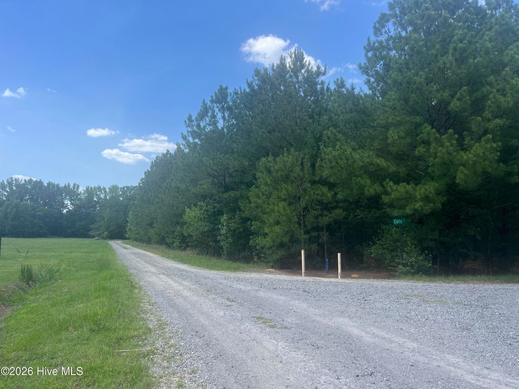 Photo of Tbd Curly Lane, Bennettsville, SC 29512 (MLS # 100583360)