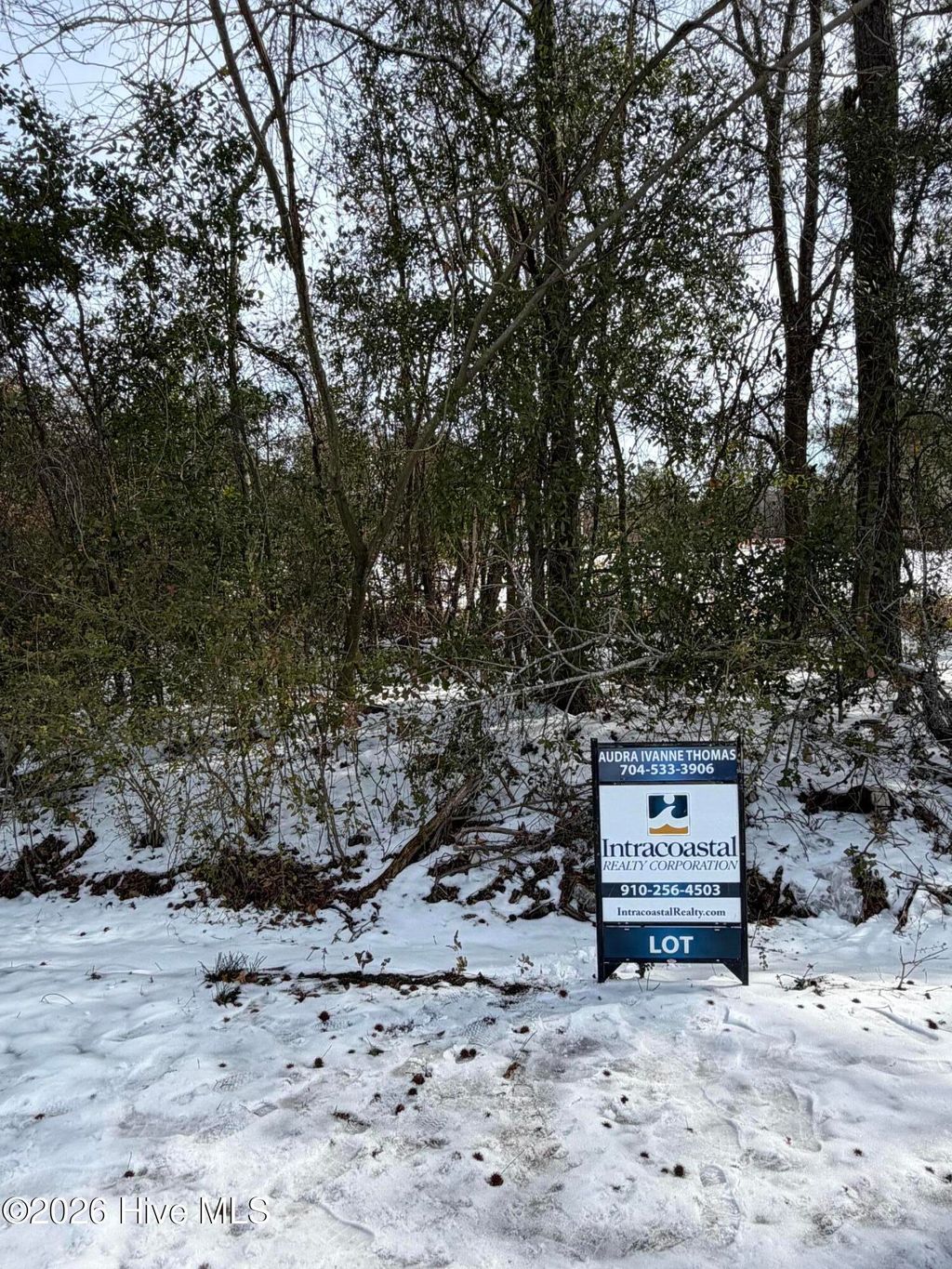 Photo of Tract B Reminisce Road, Castle Hayne, NC 28429 (MLS # 100552635)