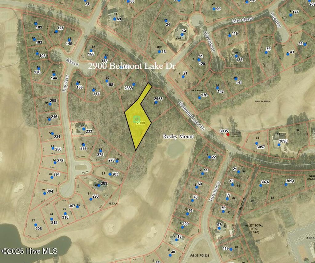 Photo of 2900 Belmont Lake Drive, Rocky Mount, NC 27804 (MLS # 100475121)