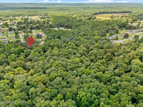 Tiny photo for 509 Maize Court, Hubert, NC 28539 (MLS # 100603132)