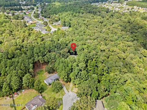 Tiny photo for 509 Maize Court, Hubert, NC 28539 (MLS # 100603132)