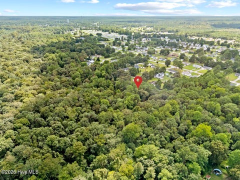Tiny photo for 509 Maize Court, Hubert, NC 28539 (MLS # 100603132)