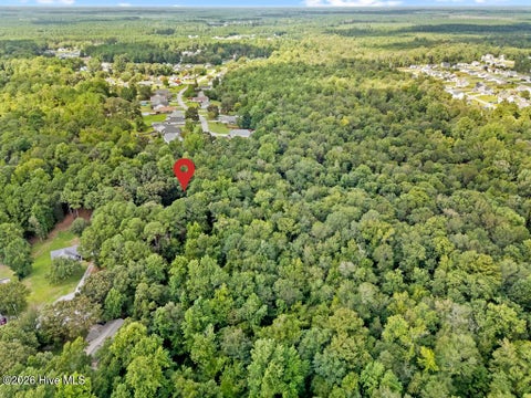 Tiny photo for 509 Maize Court, Hubert, NC 28539 (MLS # 100603132)